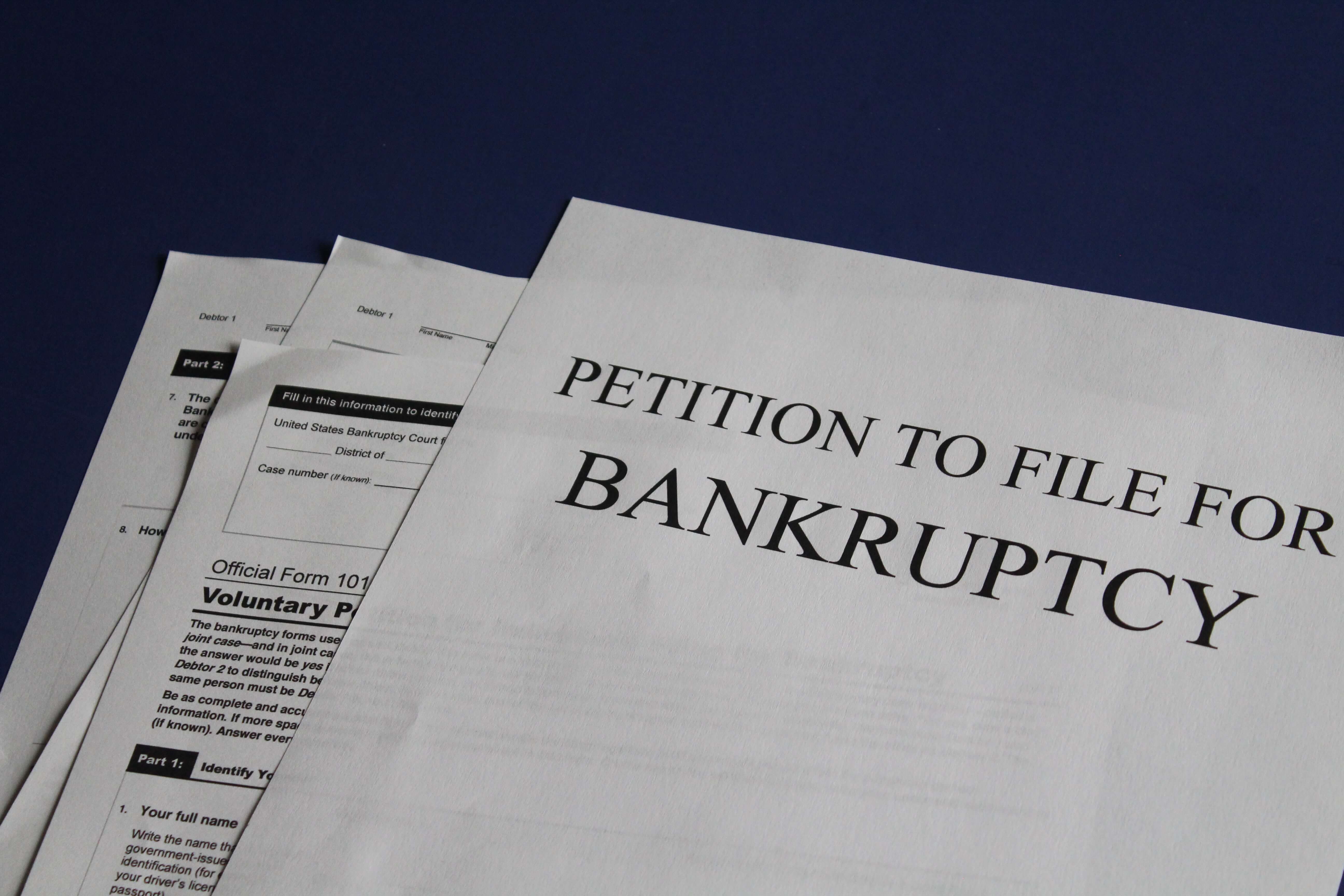 petition to file for bankruptcy form